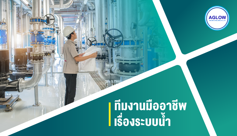 ทีมงานมืออาชีพเรื่องระบบน้ำ